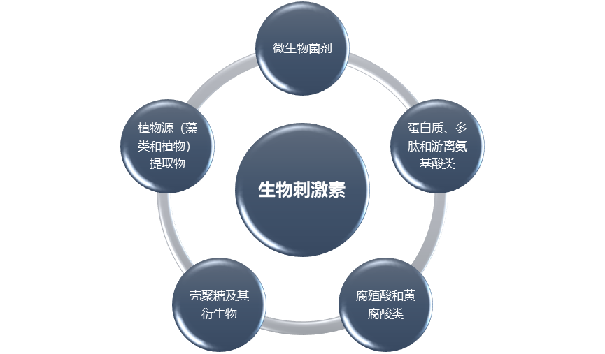 生物刺激素行業(yè)報告與投資分析 市場規(guī)模、發(fā)展前景及利潤洞察