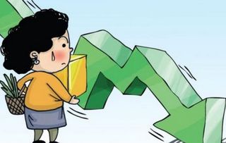 上海朗龍投資咨詢中心 有限合伙